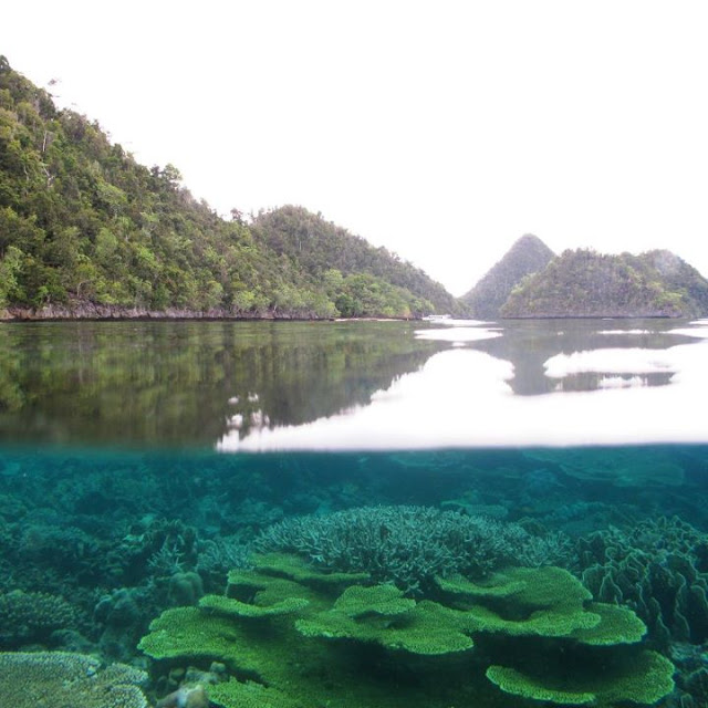Honeymoon Package at Raja Ampat