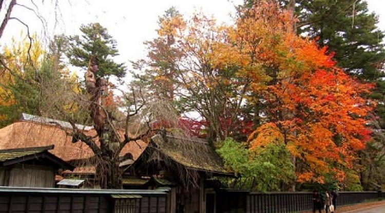 5D4N Akita - Iwate - Miyagi - Yamagata