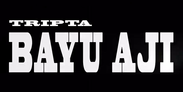 TRAVEL VLOG Bayu Aji Tour